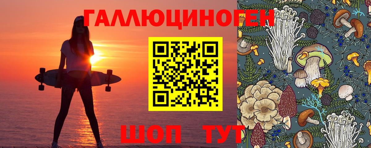 Галлюциногенные грибы Cubensis  магазин продажи наркотиков  Вологда  Псилоцибиновые грибы MAGIC MUSHROOMS  Вход с VPN 